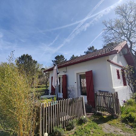 D&D, La Maison Des Ecureuils Lesperon  Bagian luar foto